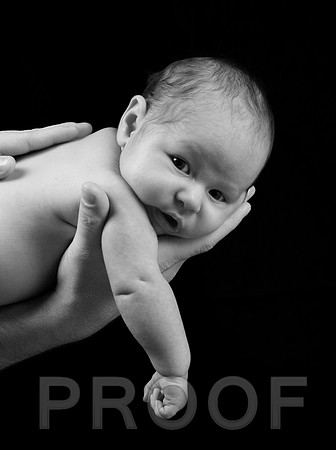 IMG_2464_bw